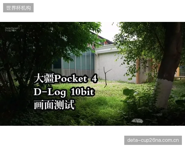 实现10bit4-2-2色彩采样：HEVC编码下的COFDM传输，如何为主流体育频道保留高达10.7亿色的真实赛场细节